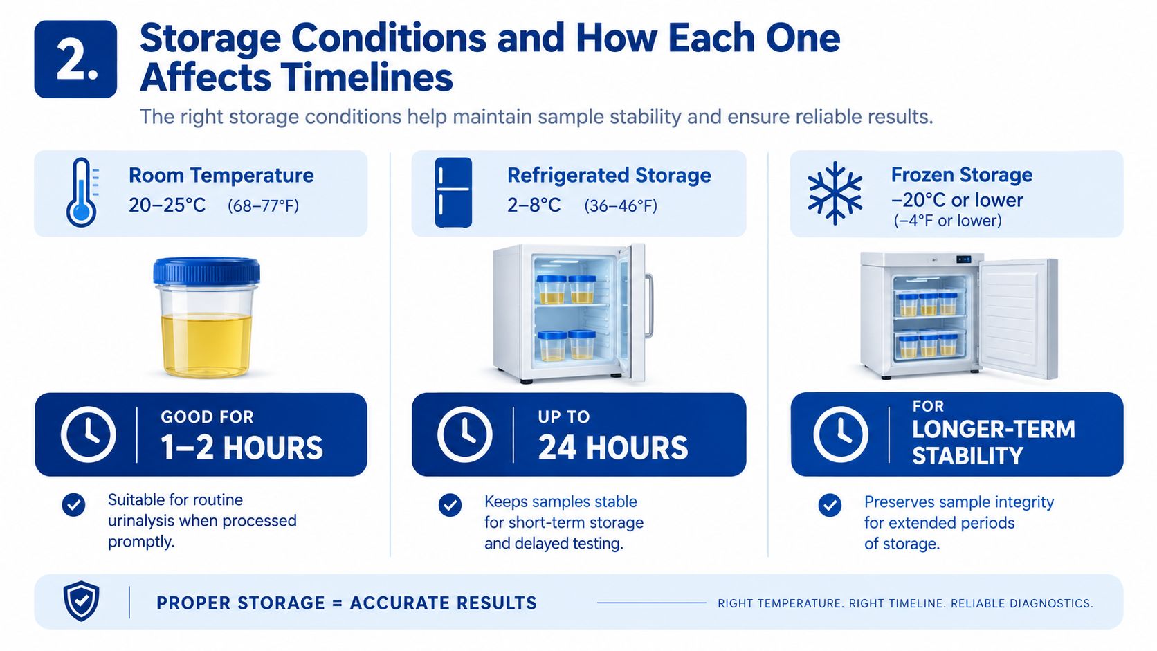 A guide showing the appropriate storage temperatures and time limits for urine samples to ensure diagnostic accuracy.