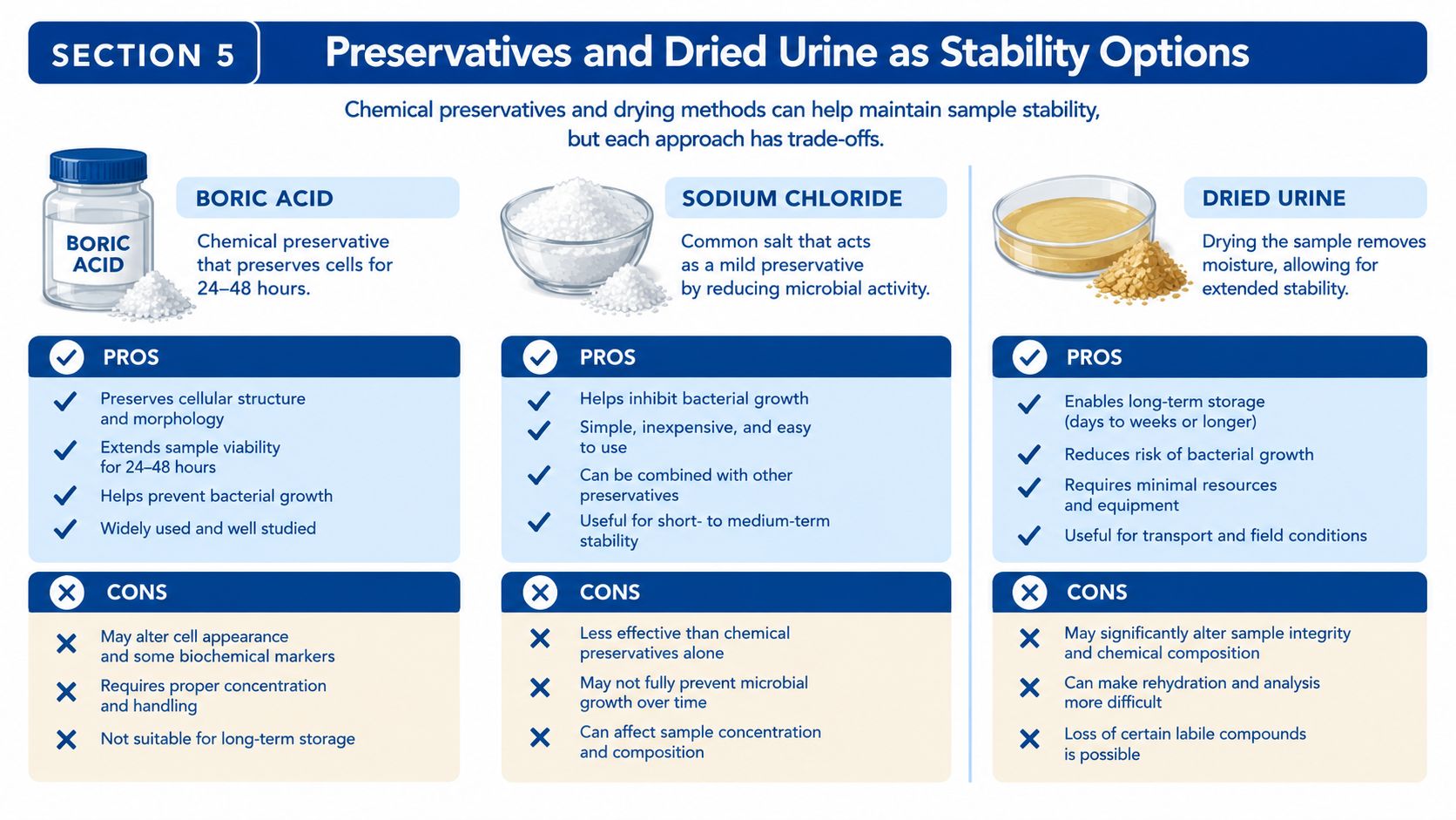 An infographic detailing pros and cons of using boric acid, sodium chloride, and drying for urine sample stability.